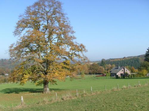 Holiday Home La Cle Des Champs Chevronstoumont