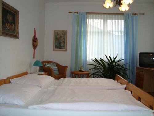 Hostal Villa Olivia