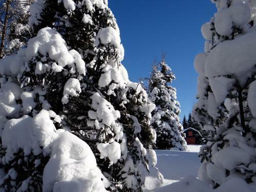Bed & Breakfast La Maison De Charl�na