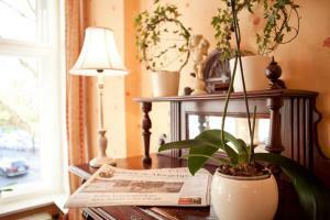 Hotel Safestay Berlin