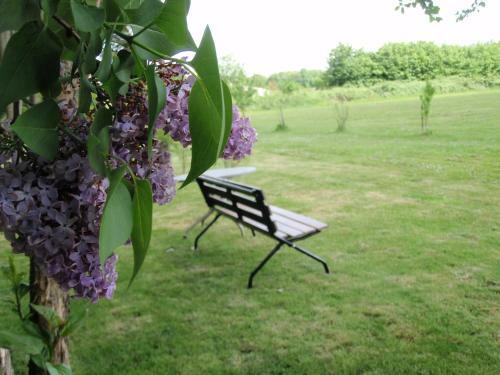 Bed & Breakfast Chatenet