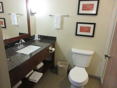 Hotel Comfort Inn Alamosa