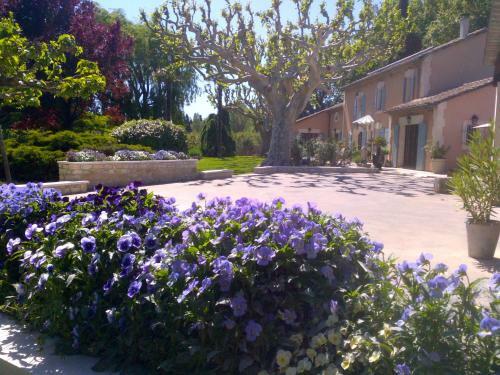 Villa Mas St Jean House