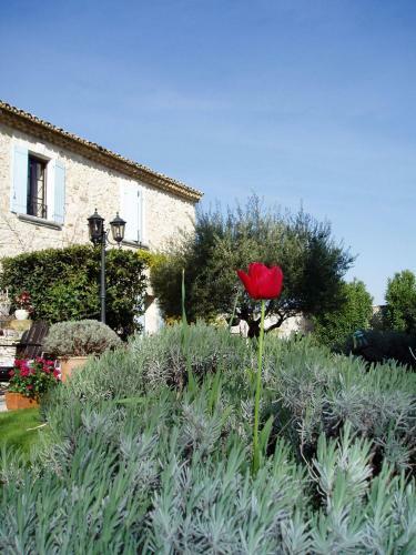 Bed & Breakfast Mas De La Treille