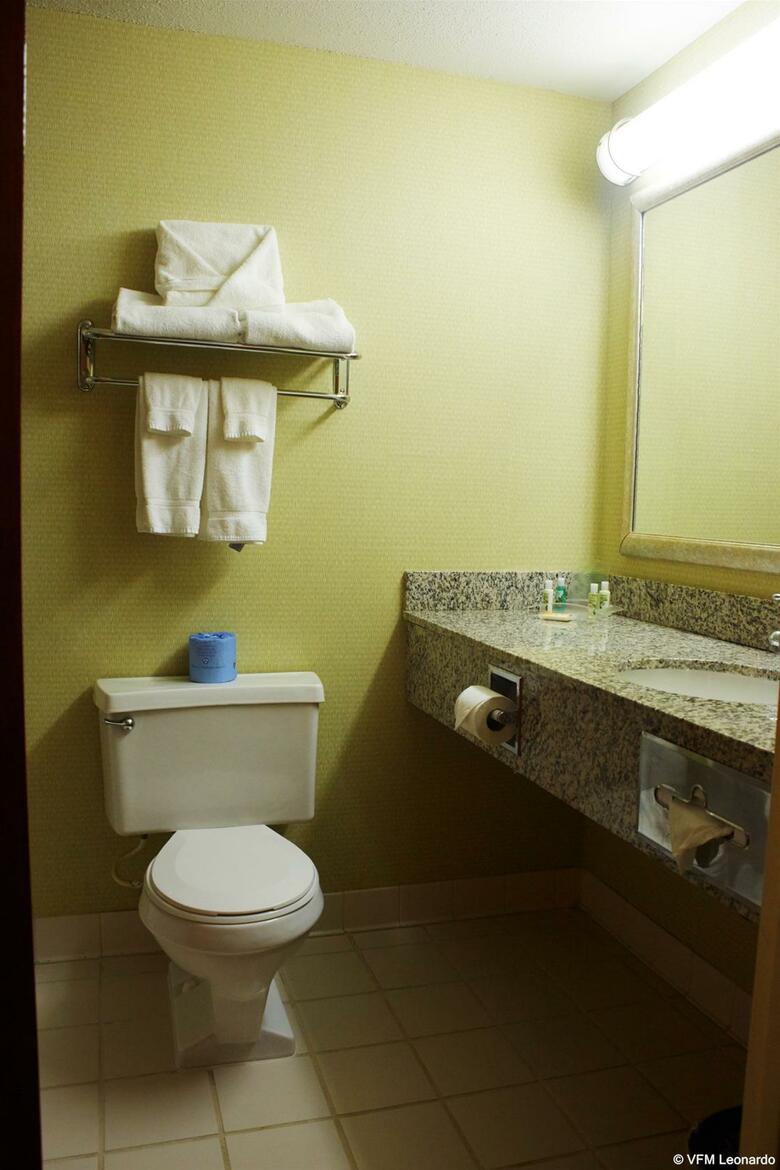 Hotel Holiday Inn Lynchburg