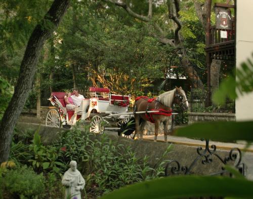 Bed & Breakfast St. Francis Inn - Saint Augustine