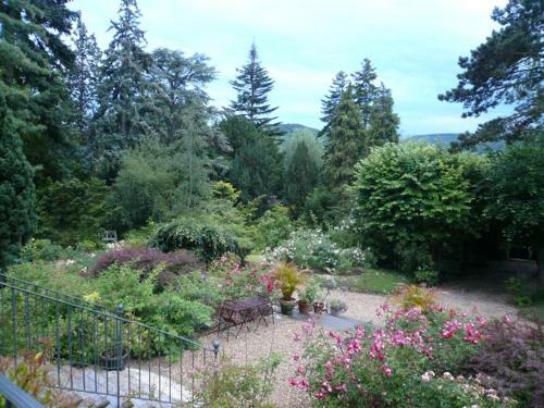 Bed & Breakfast La Pluie De Roses