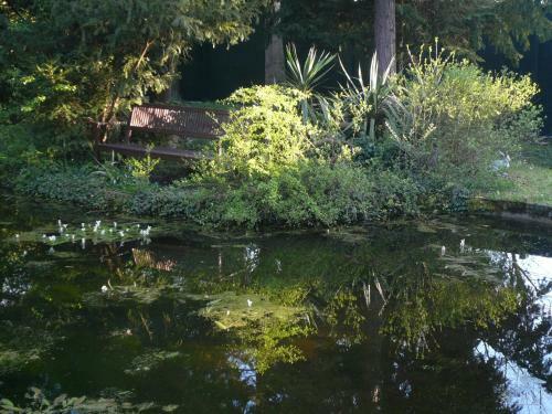 Bed & Breakfast La Pluie De Roses