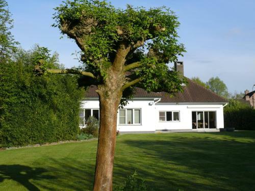 Halte 10 Apartment