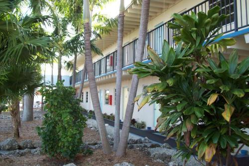 Motel Looe Key Reef Resort And Dive Center