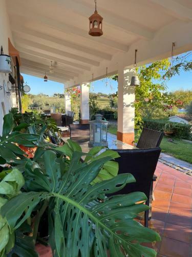 Casa Rural "el Carrasca"