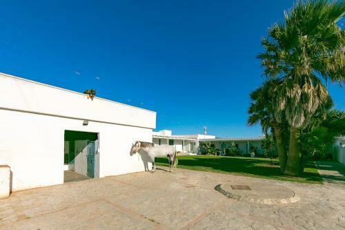 Apartamento Habitaciones Rurales La Vega