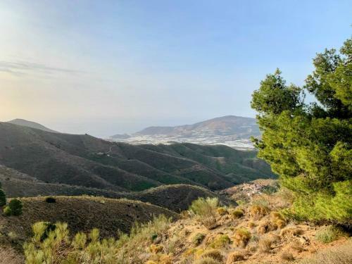 Apartamento Cortijo Grande Studio