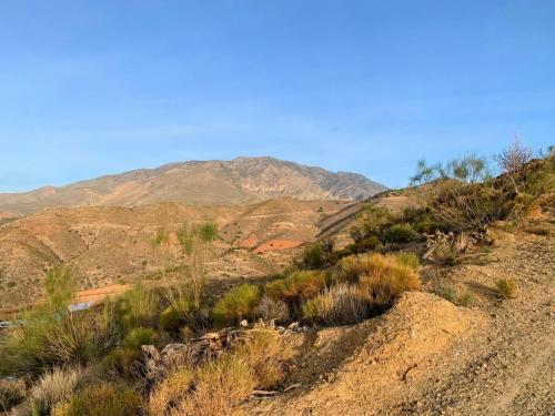 Apartamento Cortijo Grande Studio