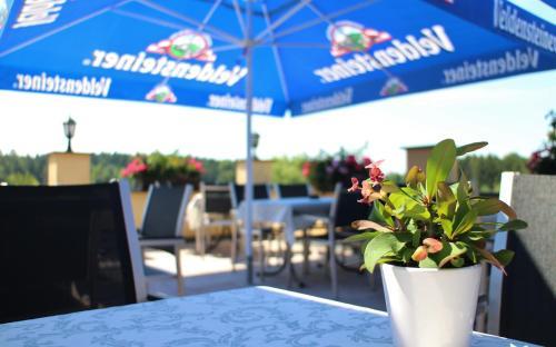 Hostal Hotel-gasthof Anni