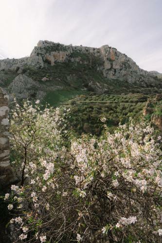 Apartamento Capricho De Zuheros
