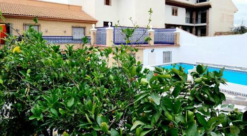 Apartamento Casa El Chiquit�n