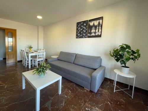 Apartamentos El Pilar 3000