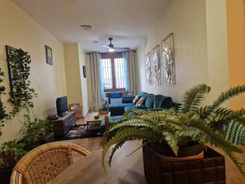 Apartamento La Casa Del Patio