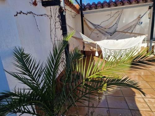 Apartamento La Casa Del Patio