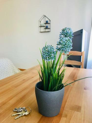 Apartment Mida