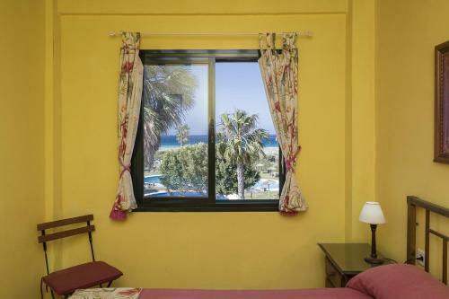 Zahara Dreams