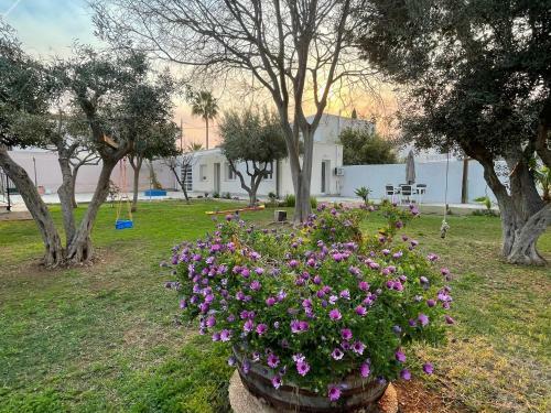 Apartamento La S�nia