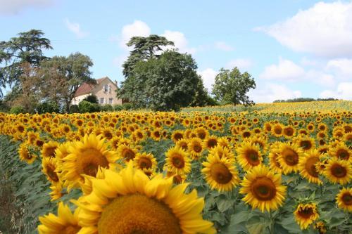 Bed & Breakfast La Double Porte