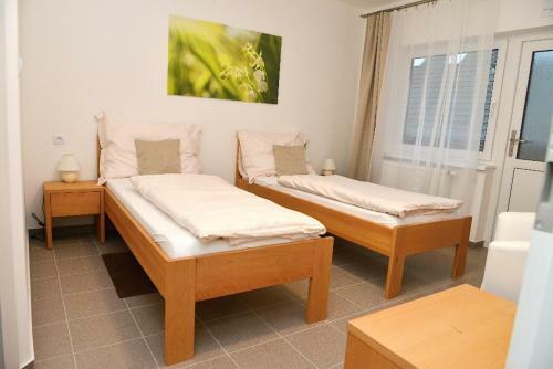 Apartm�ny Pintovka
