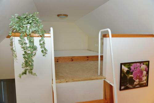 Apartm�ny Pintovka