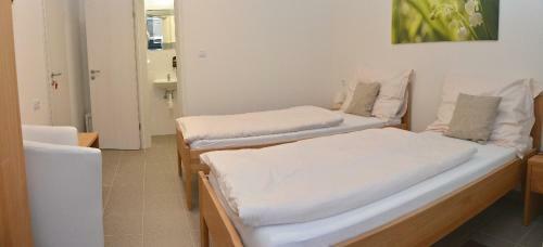 Apartm�ny Pintovka
