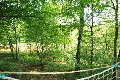 Bulle Espace Fouletot
