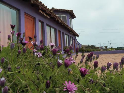 Caba�as Mar De Duao
