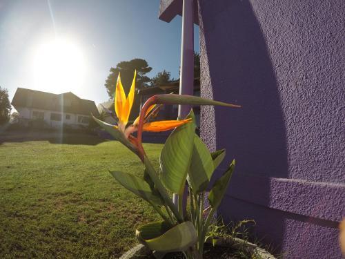 Caba�as Mar De Duao