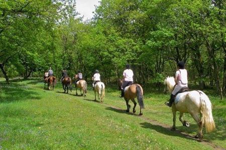 Casa Rural Rinc�n De Los V�lez.
