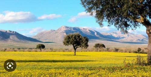 Casa Rural Rinc�n De Los V�lez.