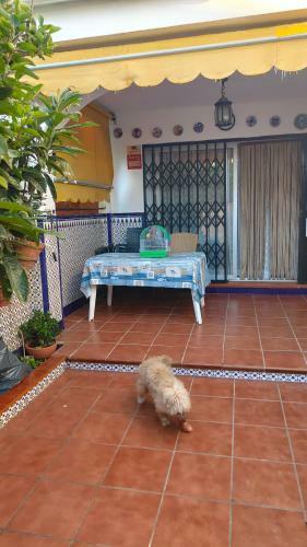 Chalet Chilches Costa 1� Linea Playa
