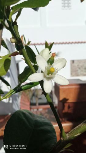 Hostal La Villa Del Sastre