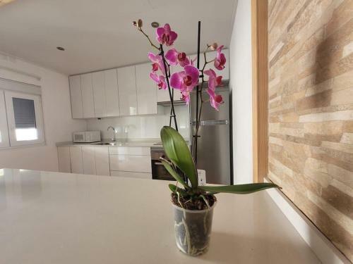 Acogedora Casa Con Vistas Panor�micas De Vigo