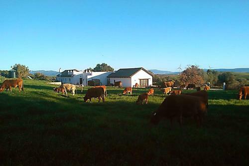 Villa Eco-friendly Country House