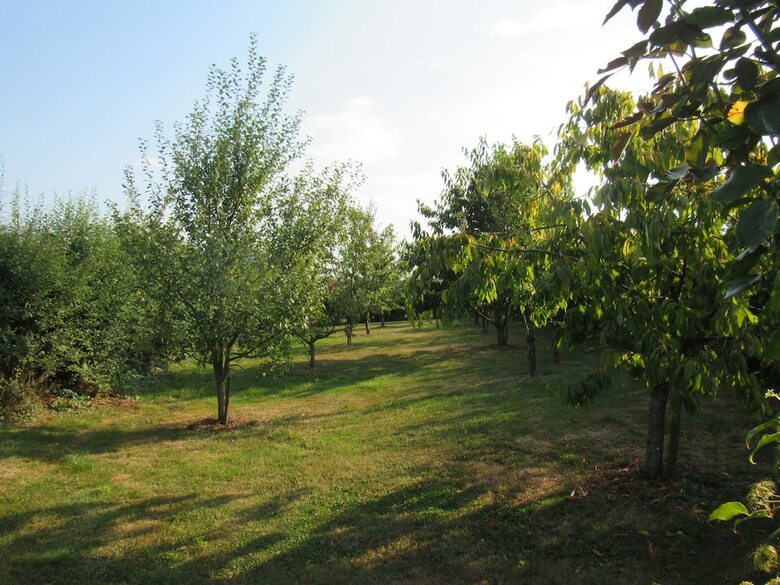 Bed & Breakfast Maison Magdala