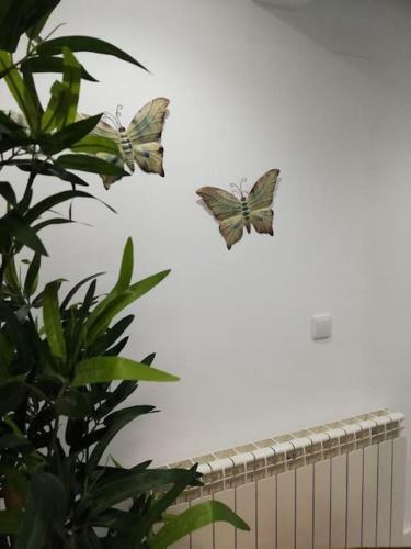 Apartamento Fant�stico Piso Turquesa