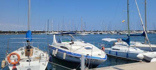 Beamar 2