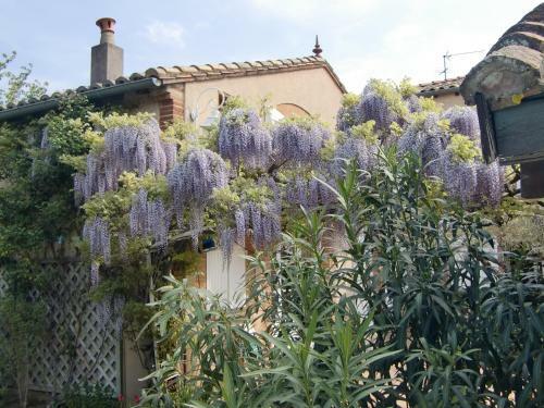 Bed & Breakfast La Villa Des Violettes