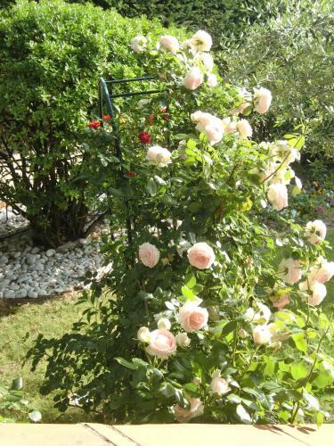 Bed & Breakfast La Villa Des Violettes