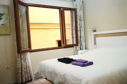 Apartamento City Center Where Falla Starts