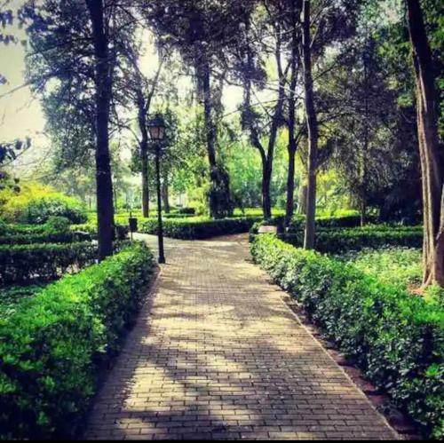 Lovely Apartment Near Beach & Science City