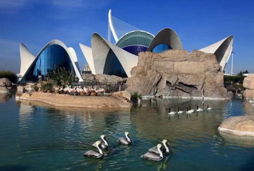 Lovely Apartment Near Beach & Science City