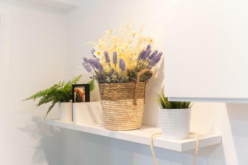 Lovely Apartment Near Beach & Science City
