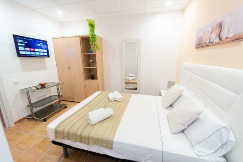 Lovely Apartment Near Beach & Science City